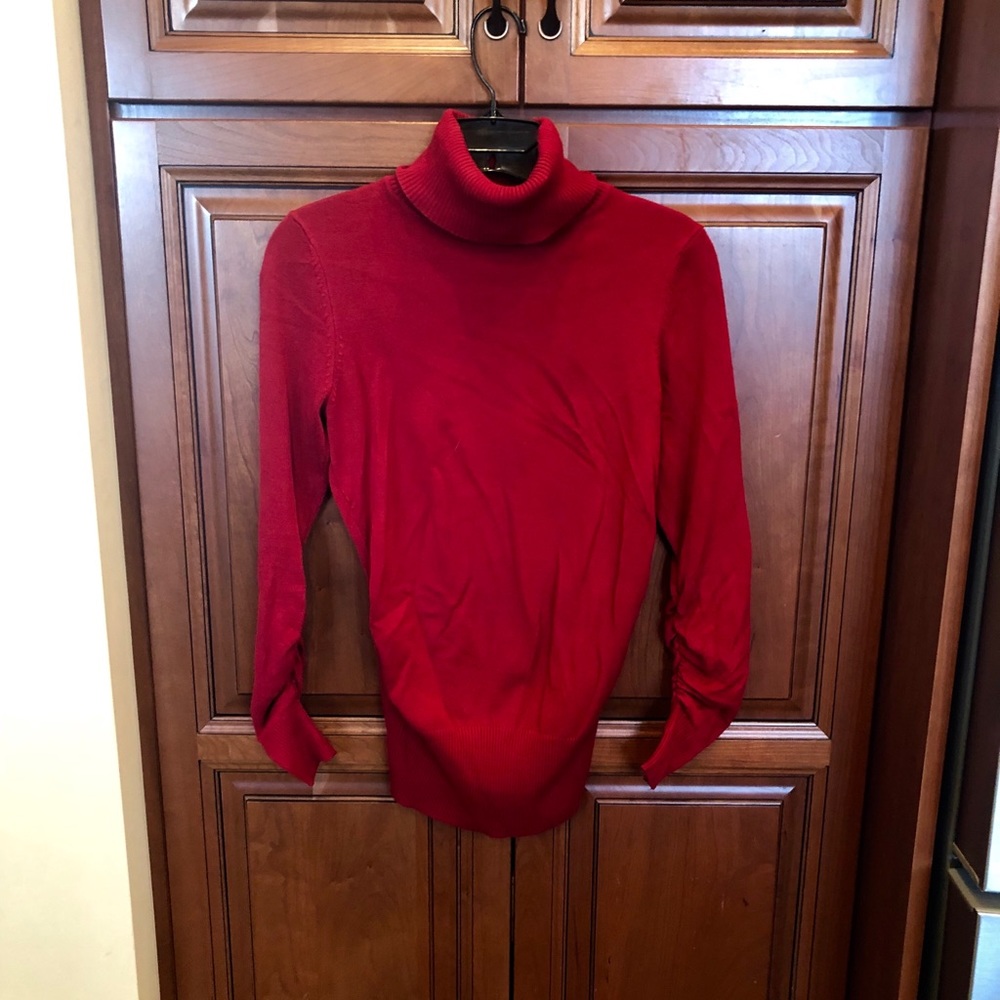 The Limited Turtleneck